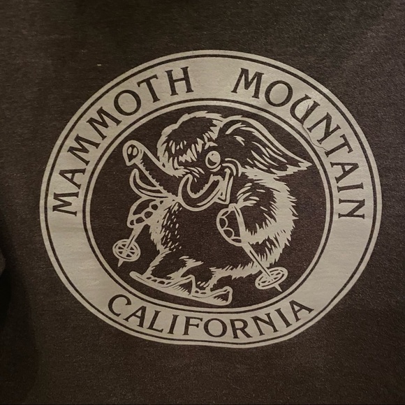 MAMMOTH Gray Hoodie Sweatshirt Size Small-Unisex - Picture 6 of 8